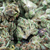 Guava THCa Hemp Flower Smalls - Plants